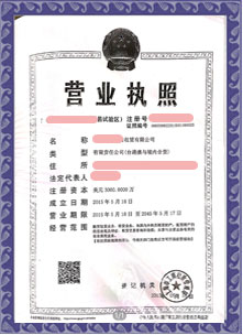 上海**融资租赁有限公司